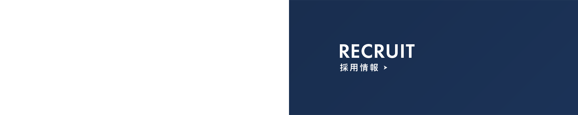 採用情報